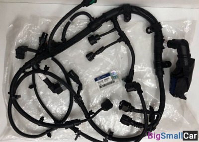 Проводка двигателя D4GA HD78